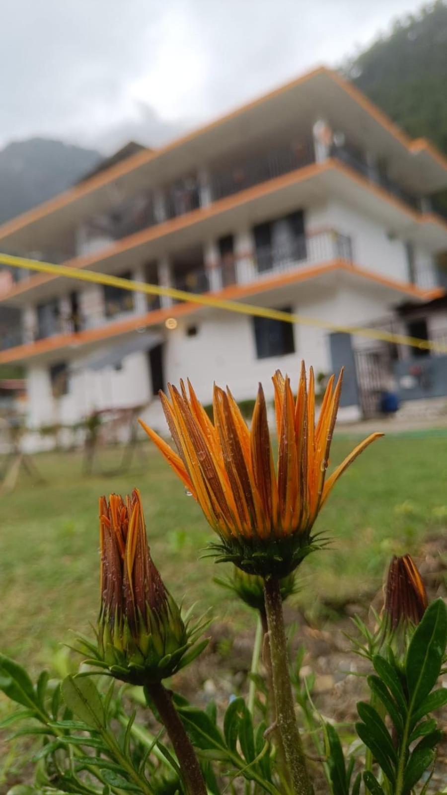 Himtrek Stay Kasol Exterior foto